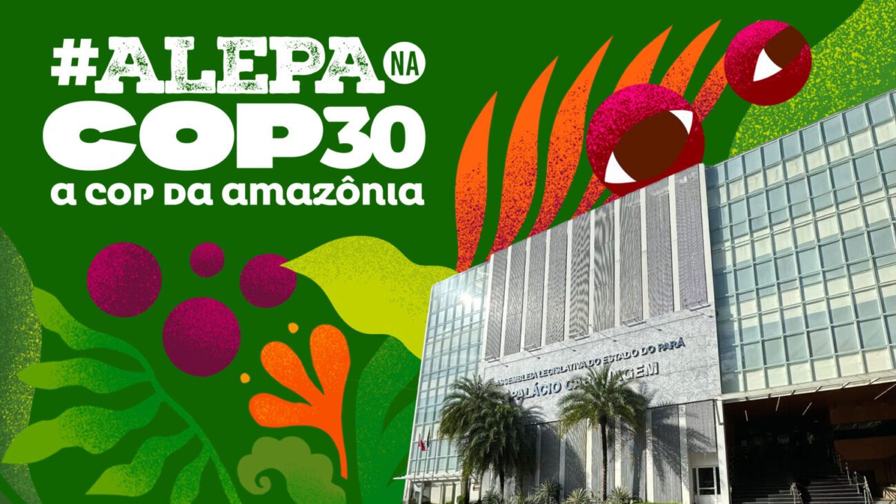 BANNERALEPA_MAUROBONNA3